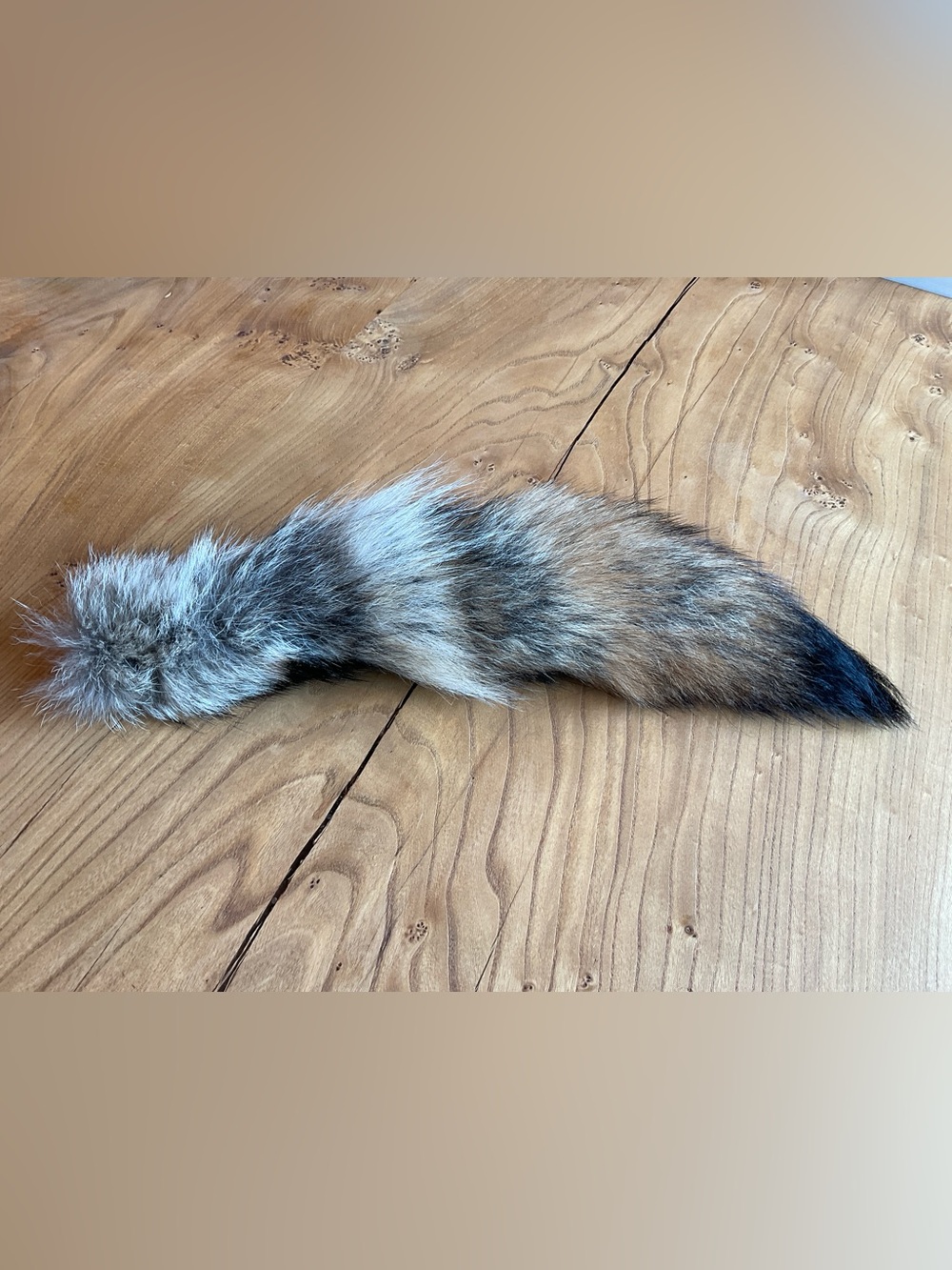Genuine Coyote Fur Tail Accessory in Natural Brown and Black